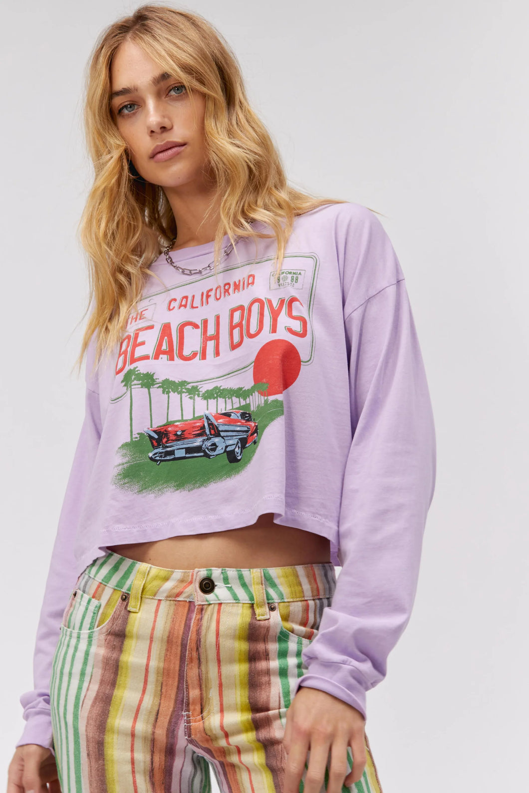 The Beach Boys License Plate - Lavender
