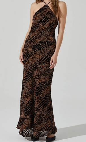 Briotte Dress