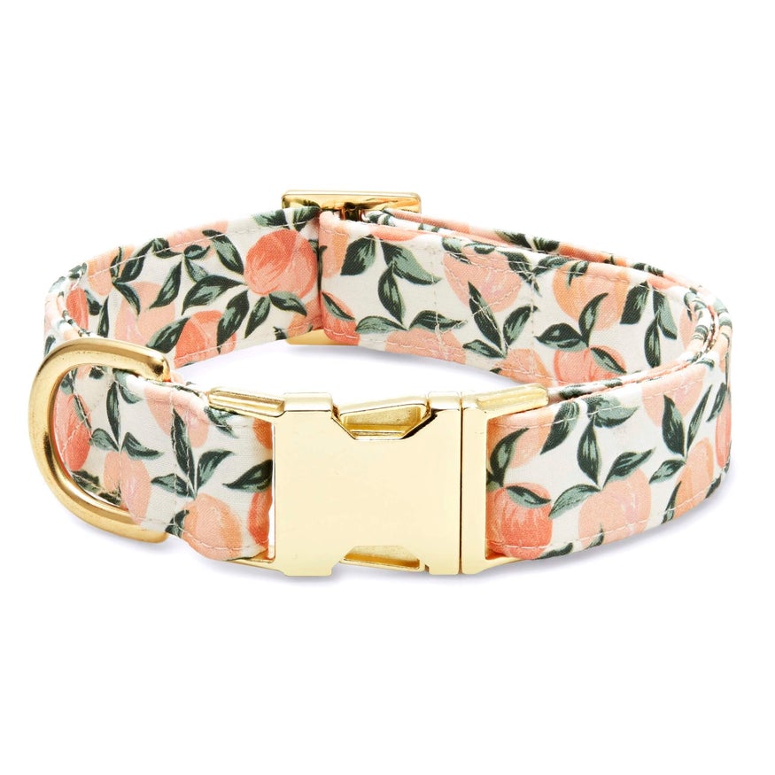 Peaches and Cream Dog Collar - Gold