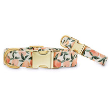 Load image into Gallery viewer, Peaches and Cream Dog Collar - Gold