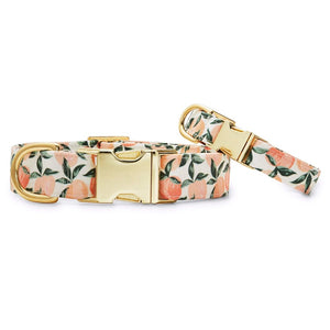 Peaches and Cream Dog Collar - Gold