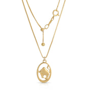 Load image into Gallery viewer, Zodiac 14k Gold Plated Necklace
